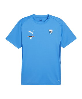PUMA teamGOAL Trikot Blau F02