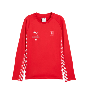 PUMA teamLIGA26 Training Sweatshirt Rot F01