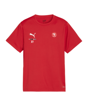 PUMA teamGOAL Trikot Kids Rot F01
