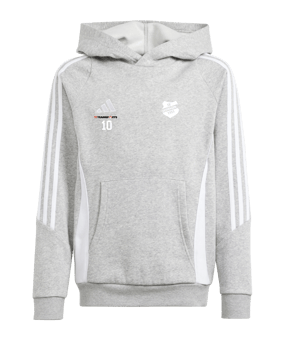 adidas Tiro 24 Hoody Kids Grau Weiss