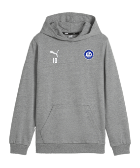 PUMA teamGOAL Casuals Hoody Kids Grau F33