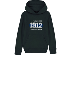Merch Mini Cruiser 2.0 Hoody Kids Black | #established