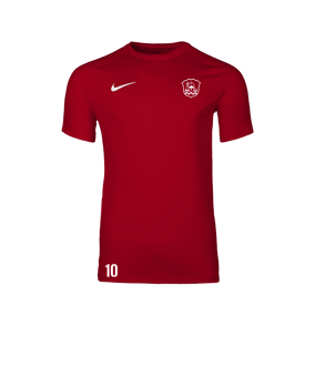 Nike Park VIII Trikot Rot F657