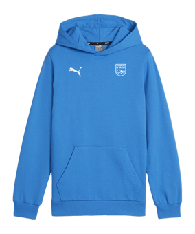 PUMA teamGOAL Casuals Hoody Kids Blau F02