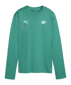 PUMA teamGOAL Training Sweatshirt Damen Grün F05