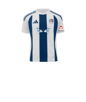 adidas Striped 24 Trikot Kids Blau
