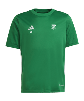 adidas Tabela 23 Trikot Kids Grün Weiss