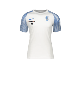 Nike Academy Trikot Kids Weiss Blau F102