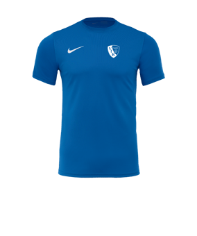 Nike Park VII Trikot kurzarm Blau F463