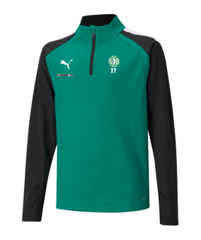 PUMA teamLIGA HalfZip Sweatshirt Kids Grün F05