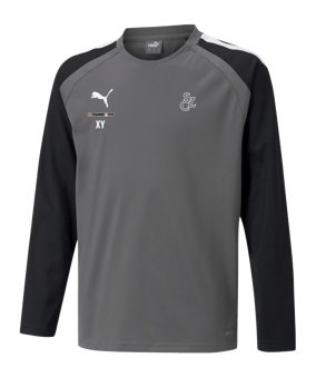 PUMA teamLIGA Sweatshirt Kids Grau F13