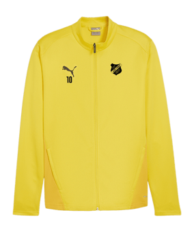 PUMA teamGOAL Trainingsjacke Gelb F07