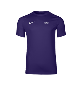Nike Park VIII Trikot Lila F547
