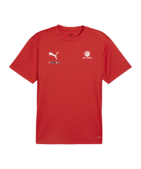 PUMA teamGOAL Trikot Rot F01