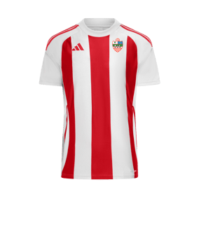 adidas Striped 24 Camiseta Blanco 