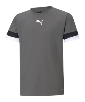 PUMA teamRISE Trikot Kids Grau F13 - grau