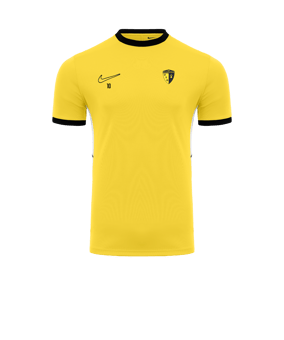 Maillot entrainement Academy 25