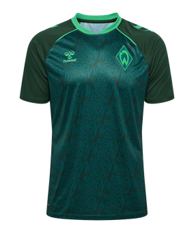hummel SV Werder Bremen Pre Game Trikot 2026/2027 Grün F6228