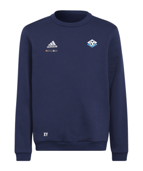 adidas Entrada 22 Sweatshirt Kids Blau