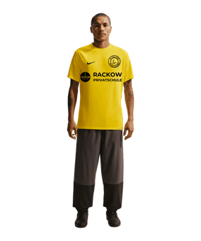 Nike Park VIII Trikot Gelb F719