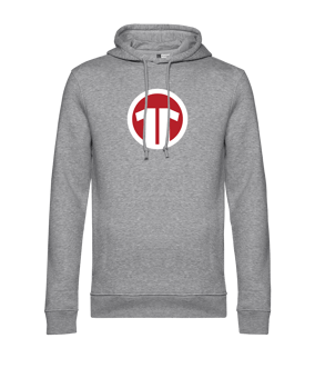 11teamsports Logo Hoody Grau - grau