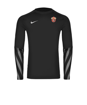 Nike Park V Trikot langarm Schwarz F010