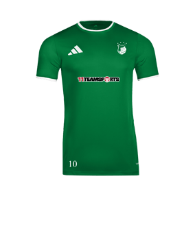 adidas Entrada 26 Trikot Grün