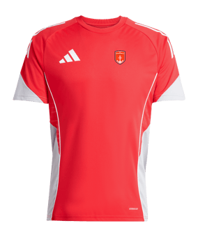 adidas Tiro 25 Competition Trikot Rot Grau