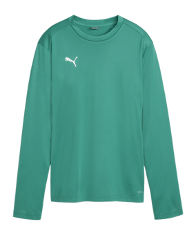 PUMA teamGOAL Training Sweatshirt Damen Grün F05 - gruen
