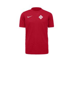 Nike Park VII Trikot kurzarm Kids Rot F657