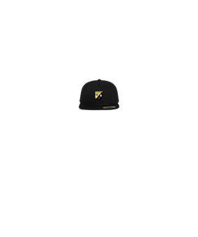 Merch 5 Panel Classic Snapback Cap Black Black