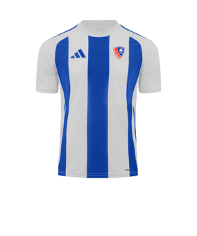 adidas Striped 24 Trikot Weiss Blau