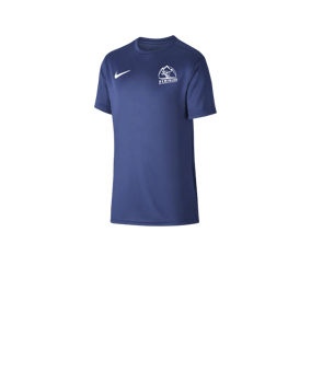 Nike Park VII Trikot kurzarm Kids Blau F410