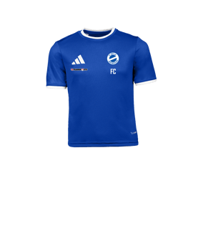 adidas Entrada 26 Trikot Kids Blau
