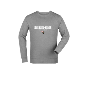 Merch Mini Changer 2.0 Sweatshirt Kids Heather Grey | #stanford