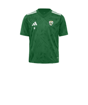 adidas Team Icon 25 Maillot Enfants Vert 