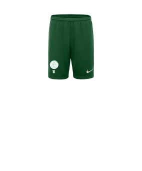 Nike Park III Court Enfants Vert C302 