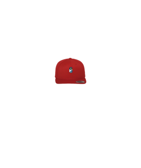 Merch 5 Panel Classic Snapback Cap Red Green | logo4c