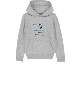 Merch Mini Cruiser 2.0 Hoody Kids H. Grey | #lines