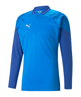 PUMA teamCUP HalfZip Sweatshirt Blau F02 - blau