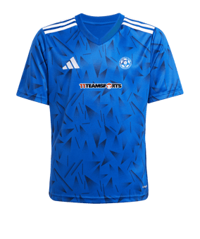 adidas Team Icon 25 Trikot Kids Blau