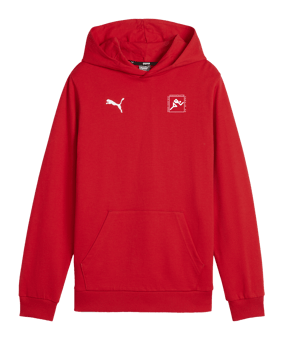 PUMA teamGOAL Casuals Hoody Kids Rot F01
