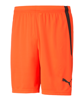 PUMA teamLIGA Short Rot Schwarz F45 - rot