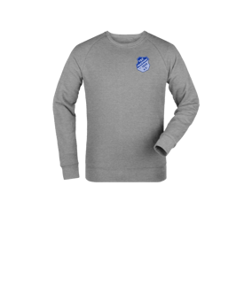Merch Mini Changer 2.0 Sweatshirt Kids Heather Grey FC250