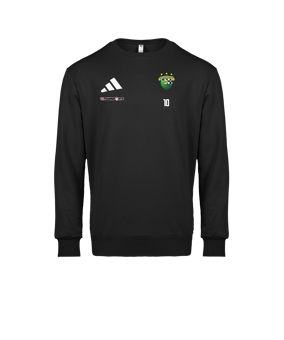 adidas Entrada 26 Sweatshirt Schwarz
