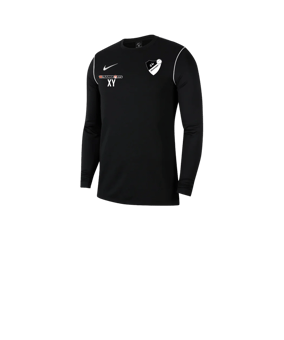 Nike Park 20 Sweatshirt Kids Schwarz Weiss F010