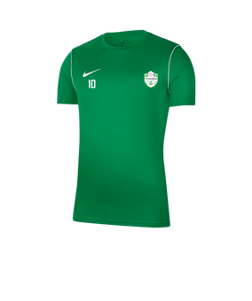 Nike Park 20 Training Shirt Grün F302