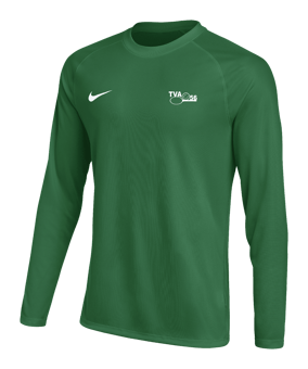 Nike Park VIII Trikot langarm Grün F302