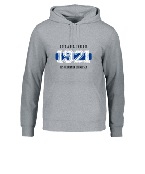 Merch Drummer 2.0 Hoody Heather Grey | #established