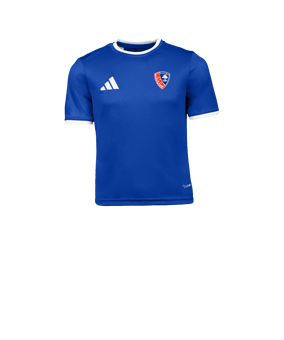 adidas Entrada 26 Trikot Kids Blau